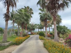 -亚龙湾国际玫瑰谷
