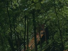 -五营红松林海景区