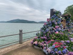 -无锡蠡湖国家湿地公园-蠡园