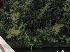 -新江湾城公园