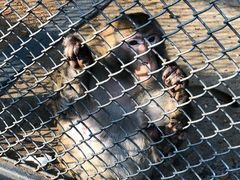 -长白岛森林公园