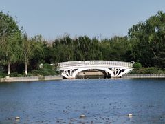 -大兴滨河森林公园