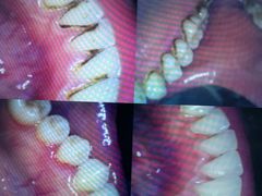 -品凯口腔(丰潭门诊)