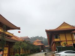 -三水森林公园