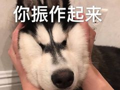 -优享健身(物美圣熙8号购物中心店)