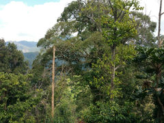 android_upload_pic-清迈丛林飞跃 JungleFlight