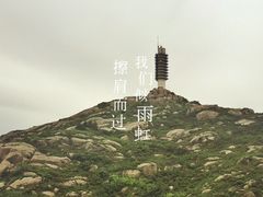-洋山深水港