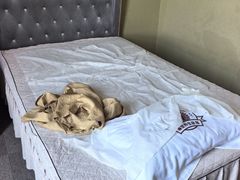 -尊足养生·影院足道·主题spa·采耳(浦江店)