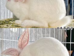 -SHRIMP CLUB万东餐饮钓虾·清吧