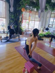 -花间禅净·瑜伽