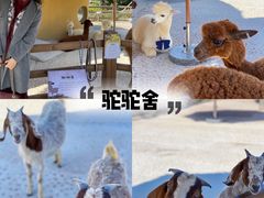 -珠海海泉湾神秘岛亲子乐园