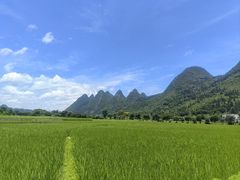 -万峰林风景区