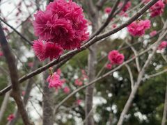 -观澜湖生态运动公社