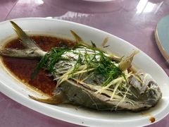 清蒸白仓鱼-湿地轩