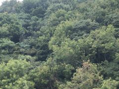 -普陀山风景区-佛顶山