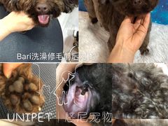 -悠尼宠物·独立低压伊珊娜洗护·美容·寄养(兰谷路店)