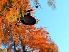 -南京市无想山景区