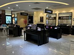 -知音艺术教育培训·钢琴培训·音乐培训(河西金鹰世界校区)