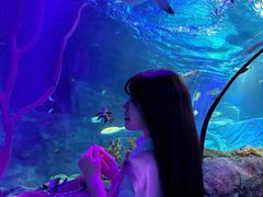 -沈阳海洋探索中心