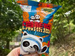 -都江堰中华大熊猫苑