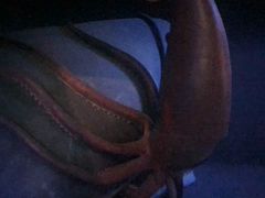 -美国自然历史博物馆