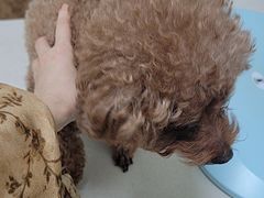 -美联众合24小时·皮肤科·外科·全科诊疗中心(华苑分院)