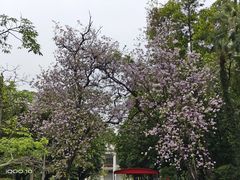 -烈士陵园(地铁站)