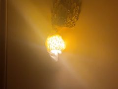 -金色莲花泰式按摩SPA(石牌店)