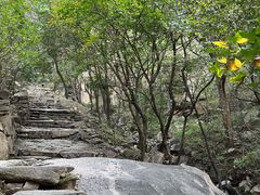 -北京鹫峰国家森林公园