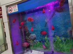 -雅悦齿科(顾村公园店)