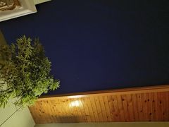 -春晖园度假酒店温泉