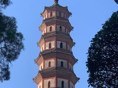-广州莲花山旅游区