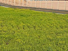 -东疆建设开发纪念公园