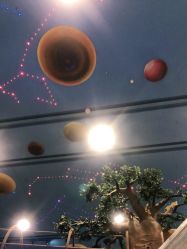 -卡通尼·Safari非洲探索乐园·生日会(金桥国际商业广场店)