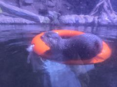 -南昌融创海世界