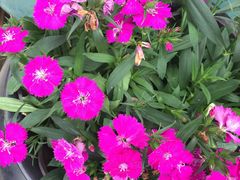 -北海金海湾红树林生态旅游区