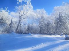 -亚布力新体委滑雪场
