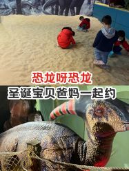-恐龙探索乐园(磁器口店)