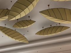 -兴芮温泉度假区