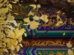 -红螺寺