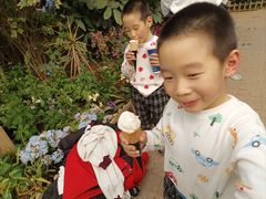 -沈阳植物园