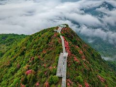 -瑞安圣井山景区