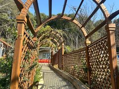 -溪山云境森林音乐餐厅(湖景店)