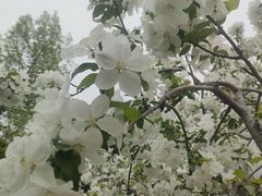 -元大都城垣遗址公园