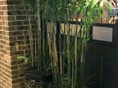 -德记牛肉社潮汕鲜切牛肉火锅(中心路店)