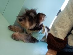 -怪兽屋·羊驼·猫咖·狗咖(俊华广场店)