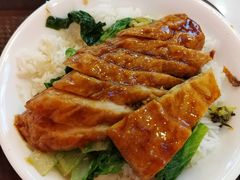 -隆江猪脚饭昌记(创业花园店)