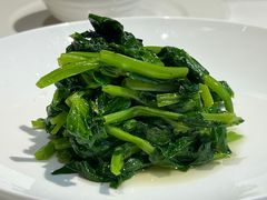清炒豌豆尖-四季民福烤鸭店(望京南湖东园店)