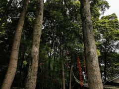 -青城山