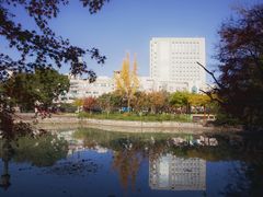 -嘉定紫藤园